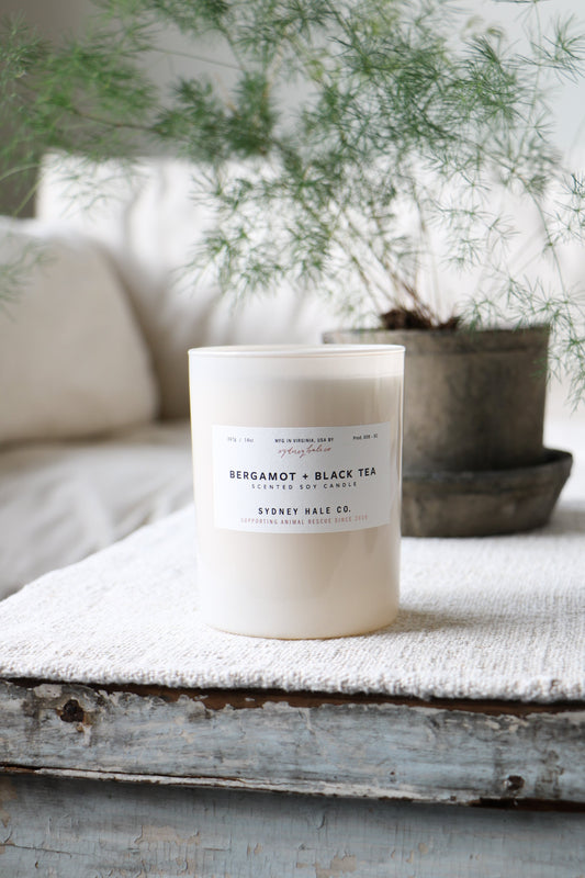 Sydney Hale Bergamot & Black Tea candle, sitting on a vintage white wood coffee table with a plant in the background. 