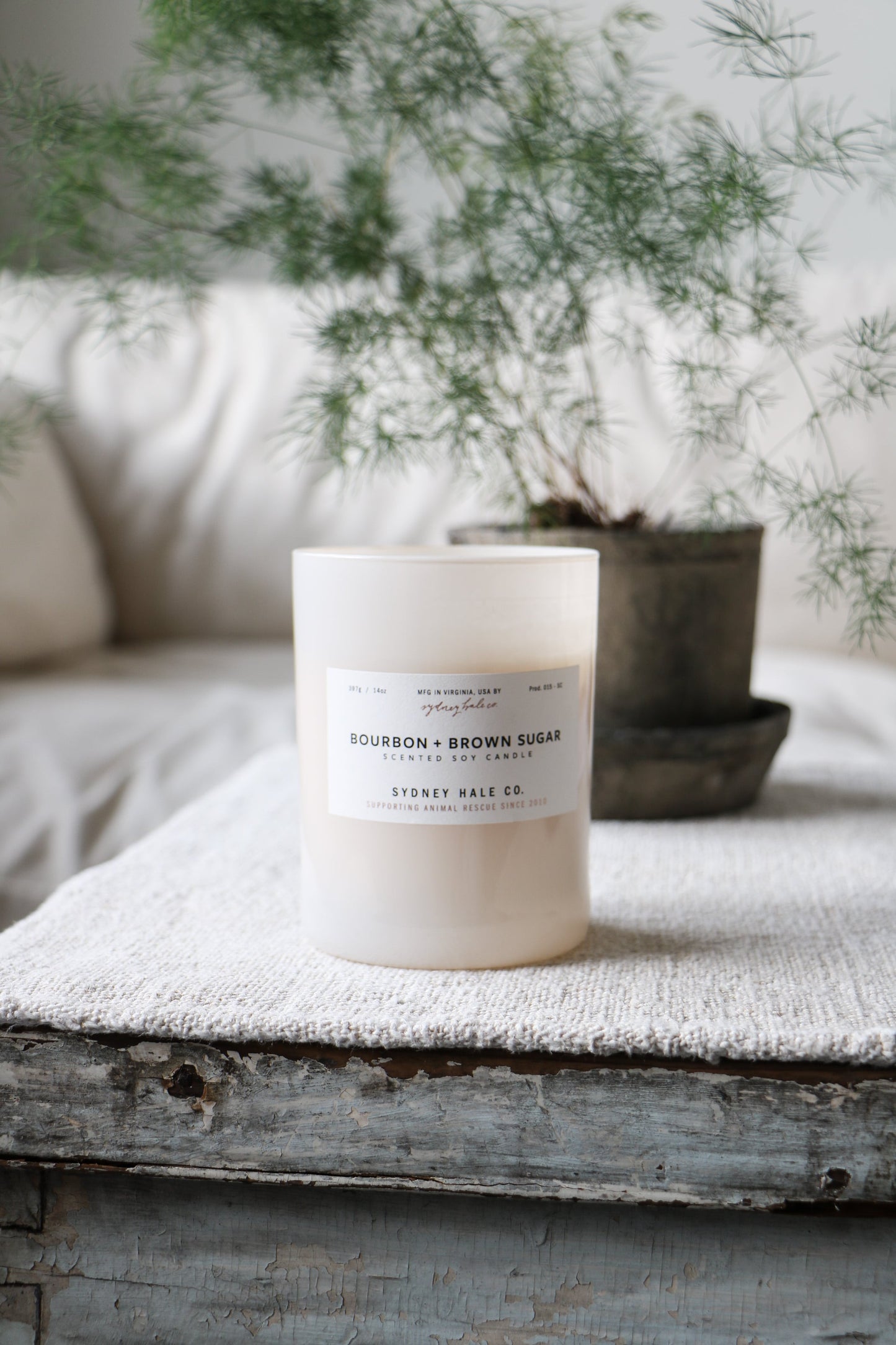 Sydney Hale Bourbon & Brown Sugar candle, in a white votive sitting on a vintage white wood coffee table with a blurred background. 