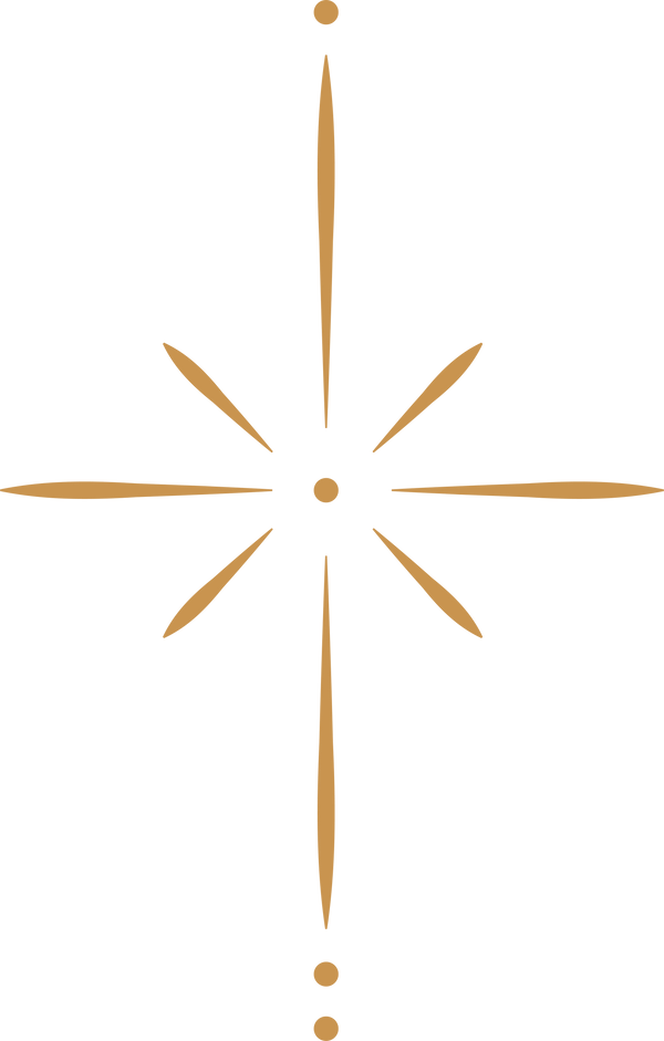 Want us to pop-up in  your space?