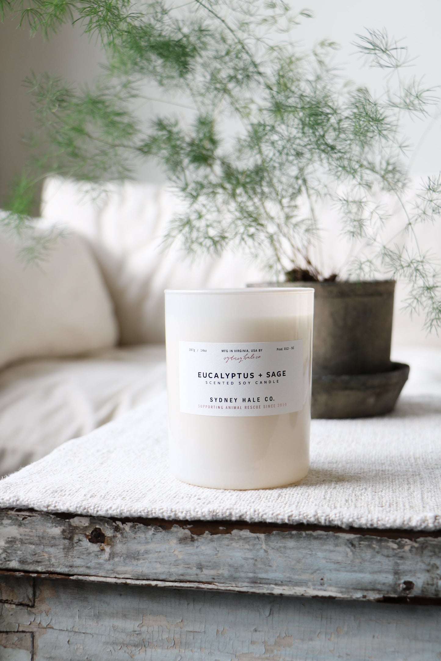 Sydney Hale Eucalyptus & Sage candle, hand-poured in Virginia, sitting on a vintage white wood coffee table with a plant in the background. 