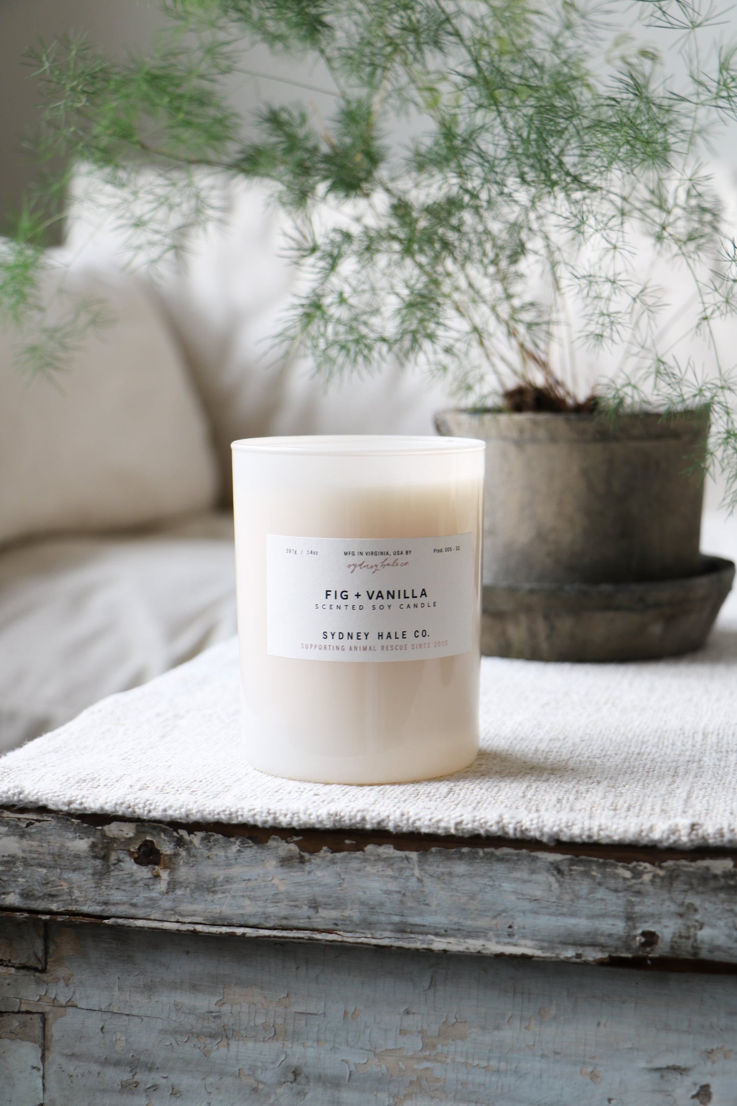 Sydney Hale candle labeled 'Fig + Vanilla' on a wooden surface with a plant in the background.