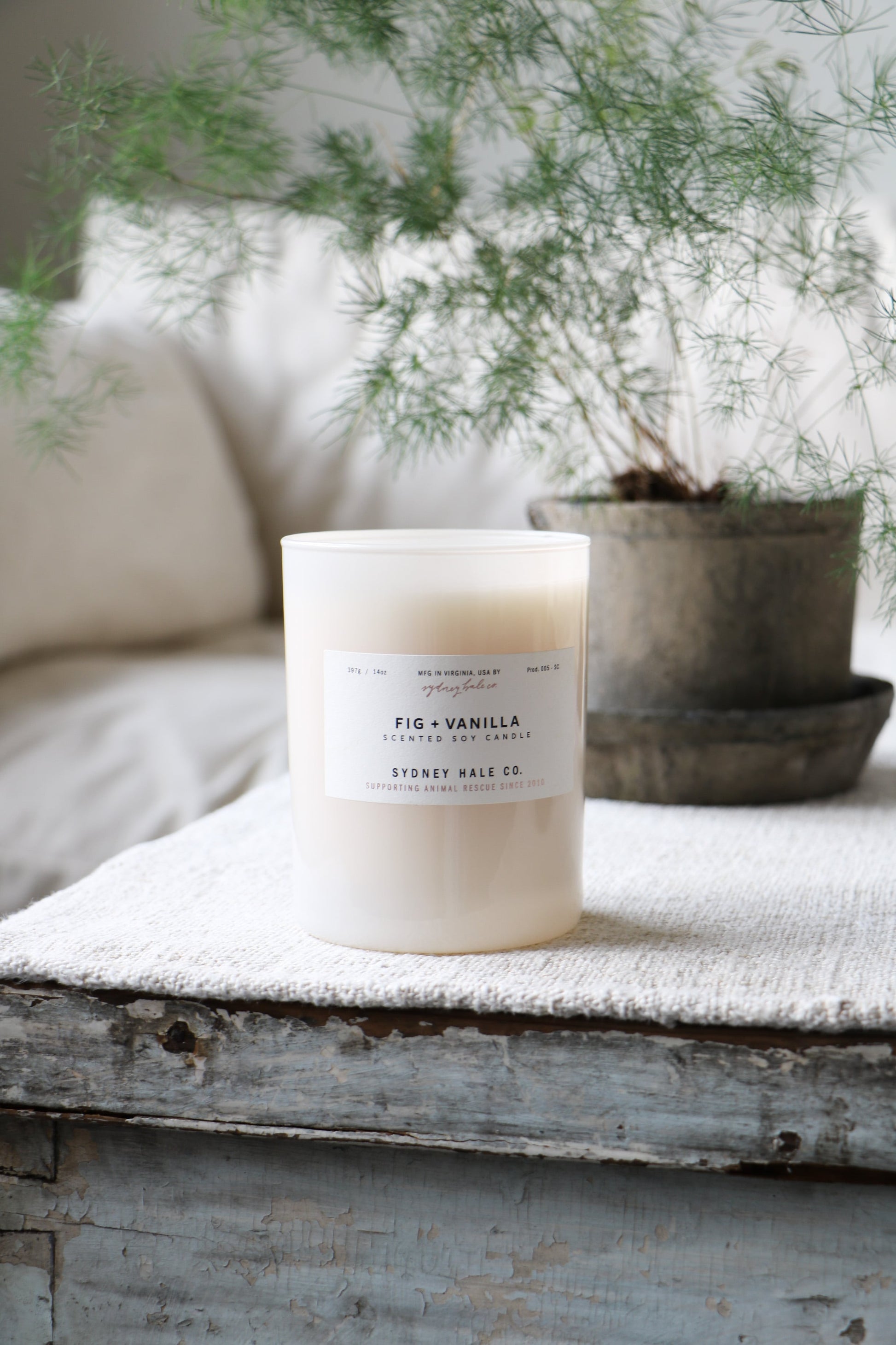 Sydney Hale candle labeled 'Fig + Vanilla' on a wooden surface with a plant in the background.