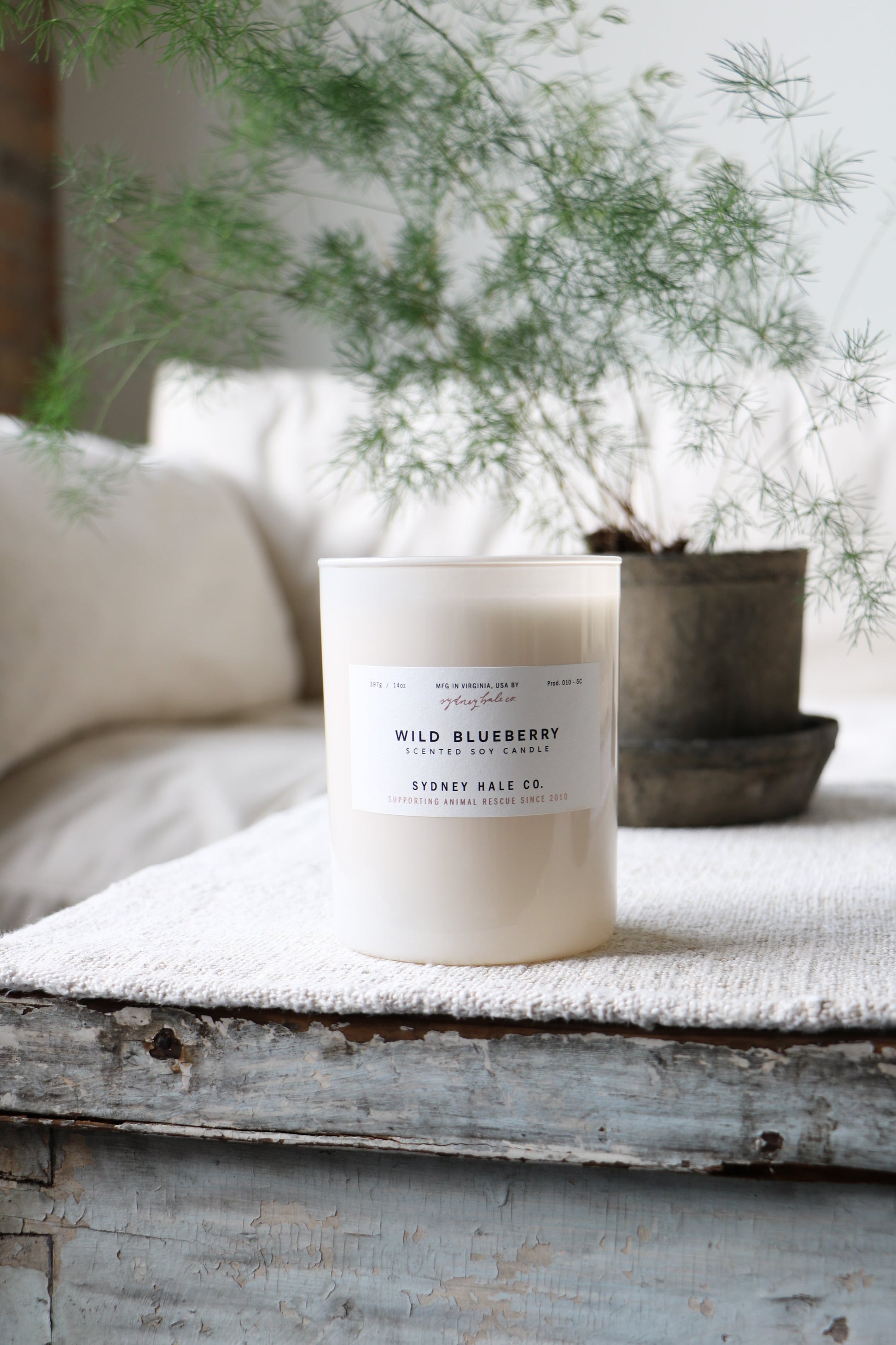 Wild Blueberry scented candle from Sydney Hale sitting on a vintage coffee table with a small plant behind it.